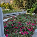 Mezar Bakım,İstanbul Mezar Bakım,mezar çiçeklendirme,doğru mezar bakım