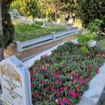 Mezar Bakım,İstanbul Mezar Bakım,mezar çiçeklendirme,doğru mezar bakım