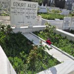 Mezar Bakım,İstanbul Mezar Bakım,mezar çiçeklendirme,doğru mezar bakım